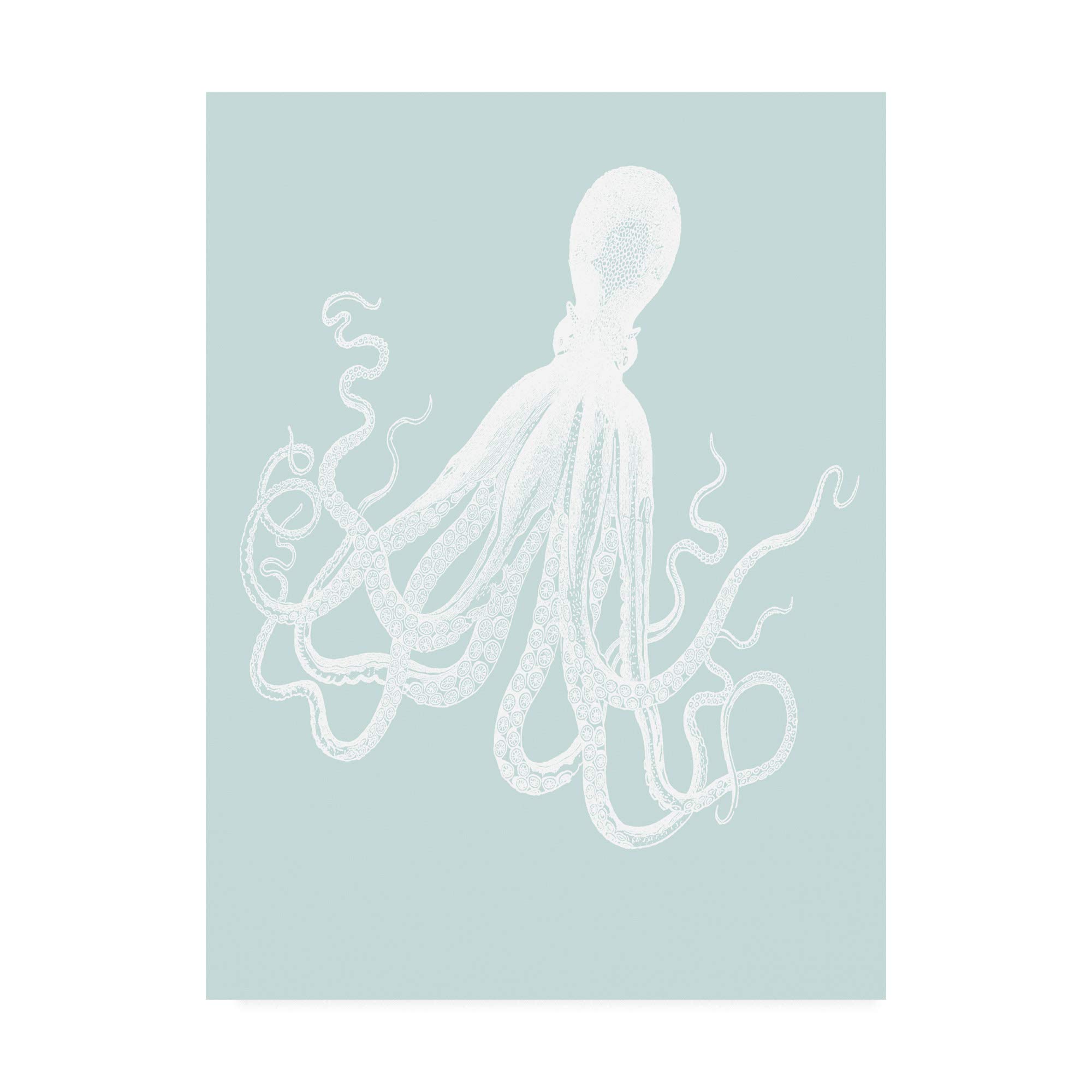 Trademark Fine ArtWhite Octopus on Seafoam e by Fab Funky, 18x24