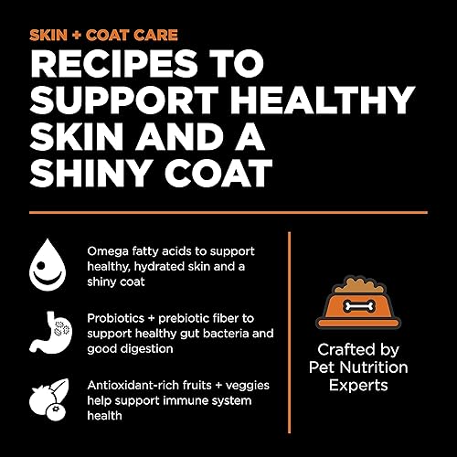 Miniatura 2 de GO! SOLUTIONS Skin + Coat Care - Alimento seco para perros, 22 libras, receta de salmón con granos para todas las etapas de la vida, nutrición