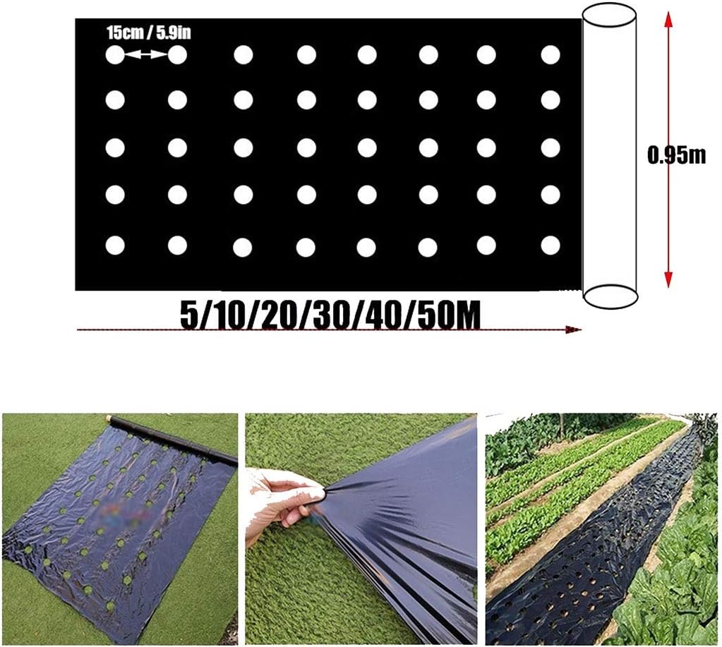 Perforated Mulch Weed Control Agriculture Film Breeding Mulch Veg Patch for Tomato Strawberry Growth Punch 4.5cm Hole(0.95x50m)