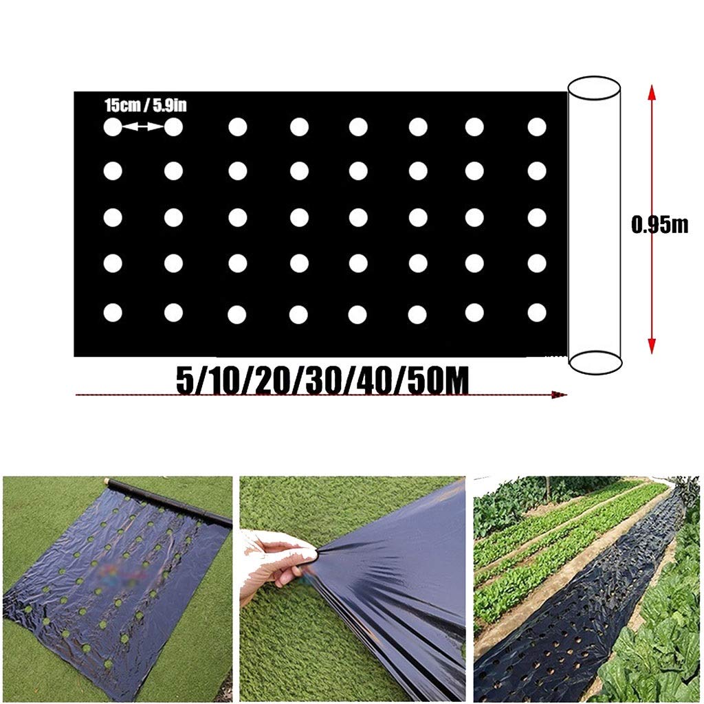 WGD Dimo Mulche Perforado De Efecto Invernadero, Película De La Agricultura De Control De Malezas, Cría De Mulch Veg Patch para Tomate Fresa Crecimiento Punch Punch 4.5cm Agujero, 1pcs