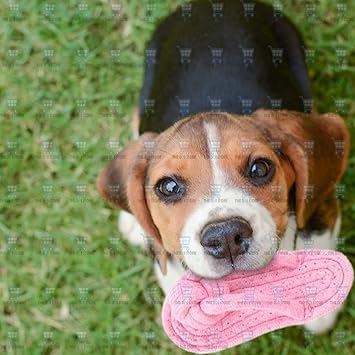 The DDS Store Pet Chew Toys Slipper Shaped Shoes Natural Cotton Rope Teething Playing Fun Toy Sandal for Cat Dog Puppy Supplies (Color May Vary)