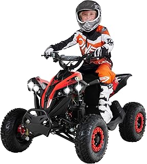 Actionbikes Motors Kinder Quad Elektro ATV Reneblade | 𝟒𝟖 Volt 𝟭𝟬𝟬𝟬 Watt Motor bis 𝟐𝟒 km/h - Kinderquad - Pocket Quad - Miniquad - Safety Fußschalter - Für Kinder ab 8 Jahren (Schwarz/Rot)