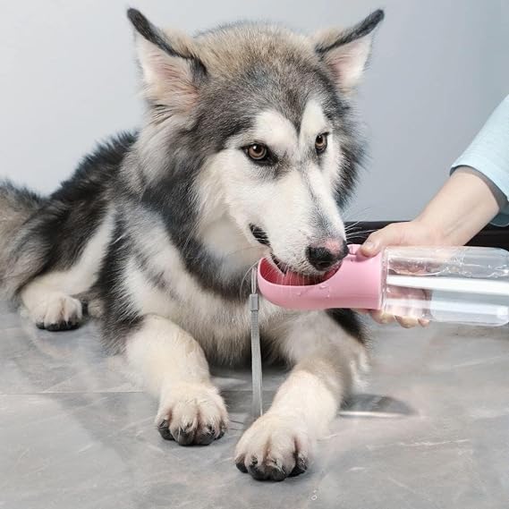 Jouis Evcil Hayvanlar İçin 350 ML Taşınabilir Su Seyahat Suluğu – Oval Uç Ergonomik Tasarım, Tek Tuş Su Kontrolü, Su Sızdırmaz Kilit Sistemi, Köpek ve Kedi İçin Pratik Kullanım