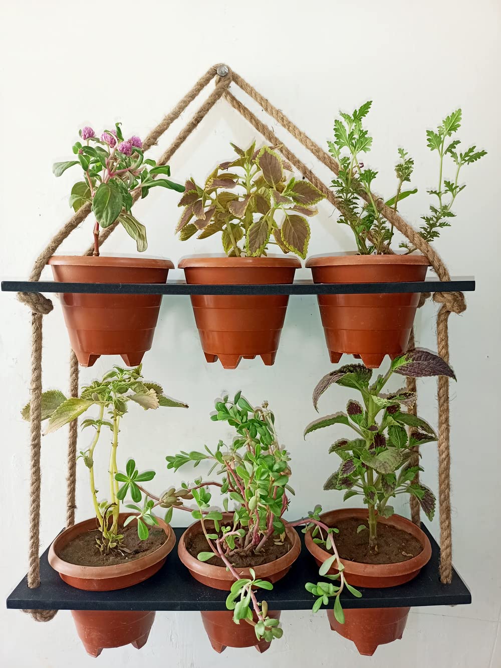 Khush Enterprise Khush Its Amazing Wood Hanging Planter Shelf Plant Hanger Decorative Flower Pot Rack With Rope Home Decor Hanging Planter (2 Tier Pot, Black) (B0B3RKW1ZB) Amazon Price History, Amazon Price Tracker