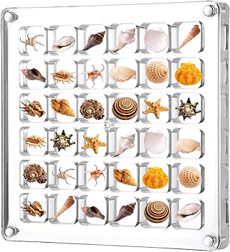 Andibro Acrylic Magnetic Seashell Display Box, 36 Grids Clear Seashell Storage Box Jewelry Display Cases Container Small Craft Organizer Holder for Bead Nail Jewelry Small Seashell Starfish