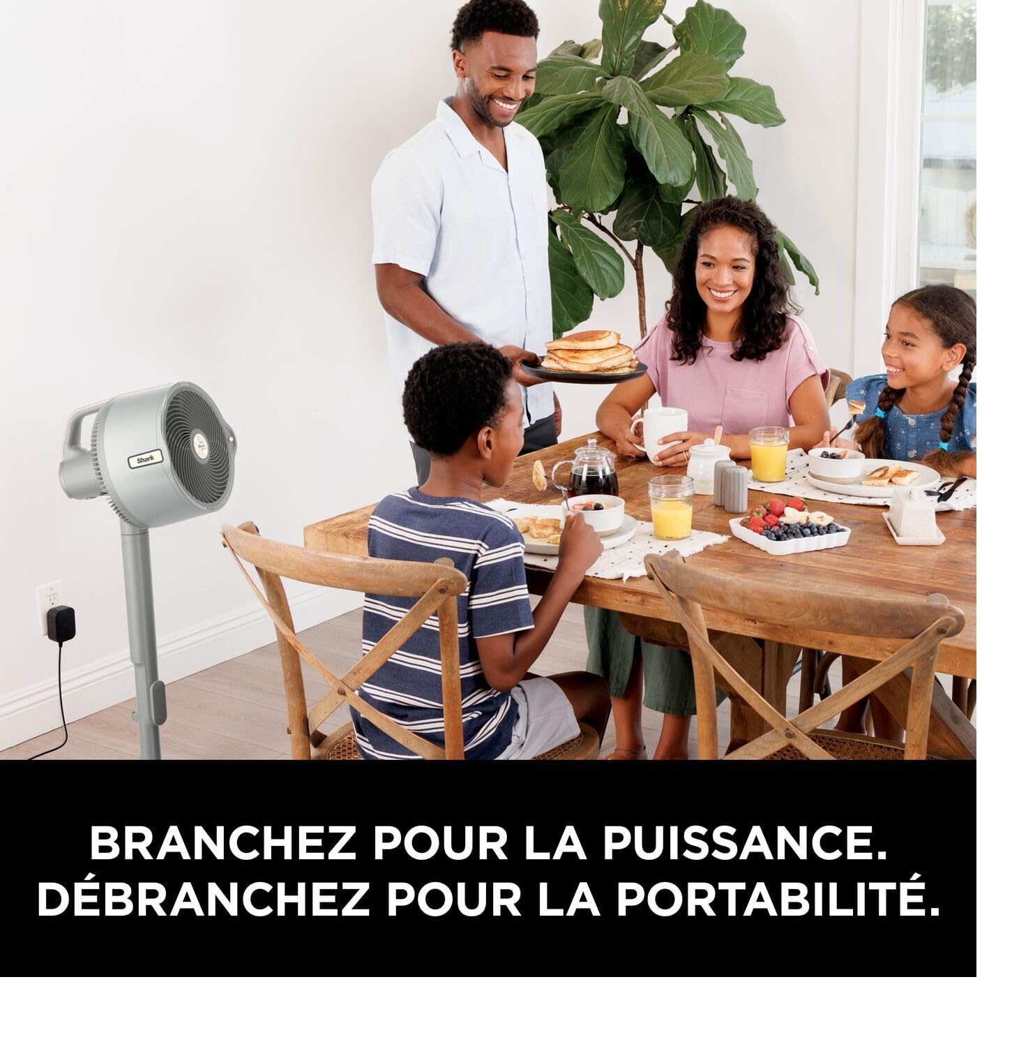 Shark FlexBreeze Pro Mist Ventilador sin cable para interior y exterior con nebulizador, depósito portátil, alcance de 20 m, de pedestal o mesa, 5 velocidades, mando a distancia, Gris paloma FA300WHEU