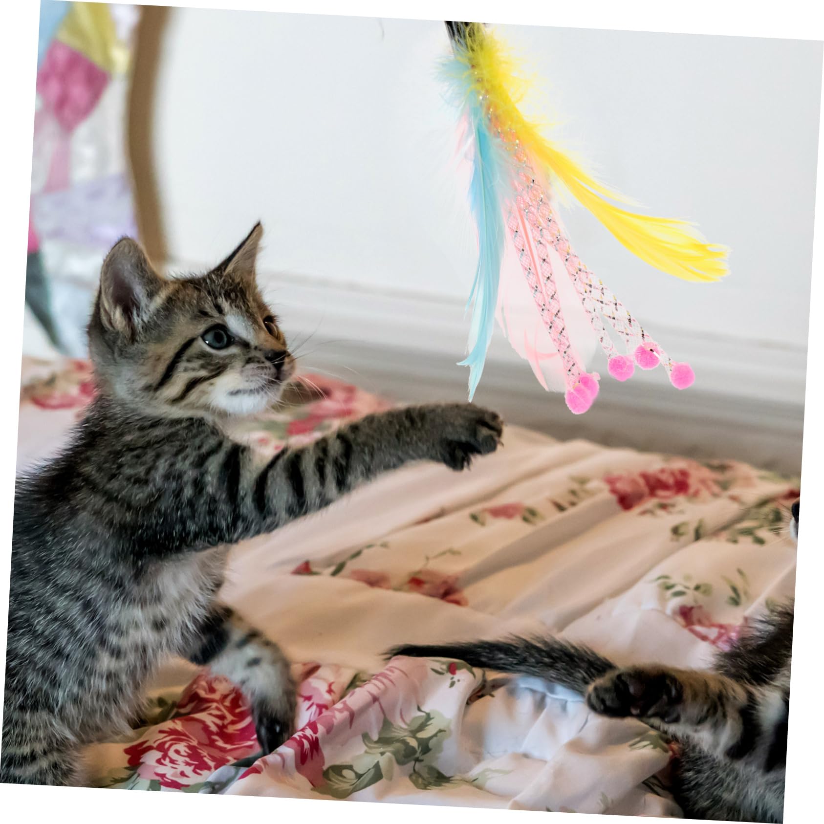 Kisangel 32pièces Jouets pour Chats avec Plumes Accessoires Interactifs pour Chats Intérieur Canne à Remplaçable pour Amusement Et Exercice