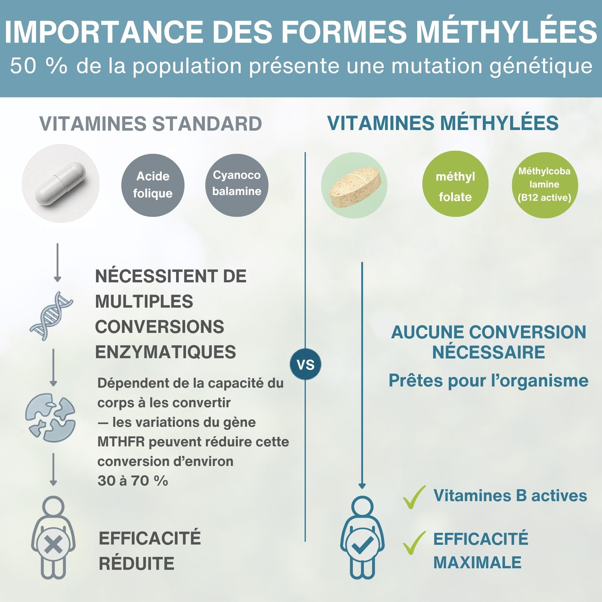 Igennus Multivitamines pour hommes avec lycopène, Dosé avec expertise prête à être absorbée pour l'énergie, l'immunité et la santé cardiaque, libération prolongée, vitamines B méthylées, 180 comprimés