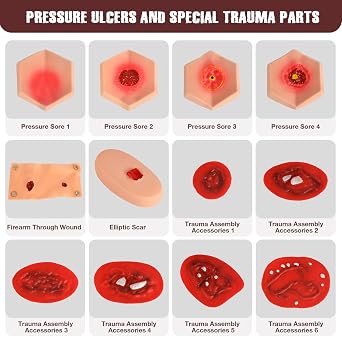 43PCS Trauma Manikin Moulage Kit - Wound Module Set for First Aid & Trauma Care Training, Full Body CPR Manikins,Compatible with Medical Student Training