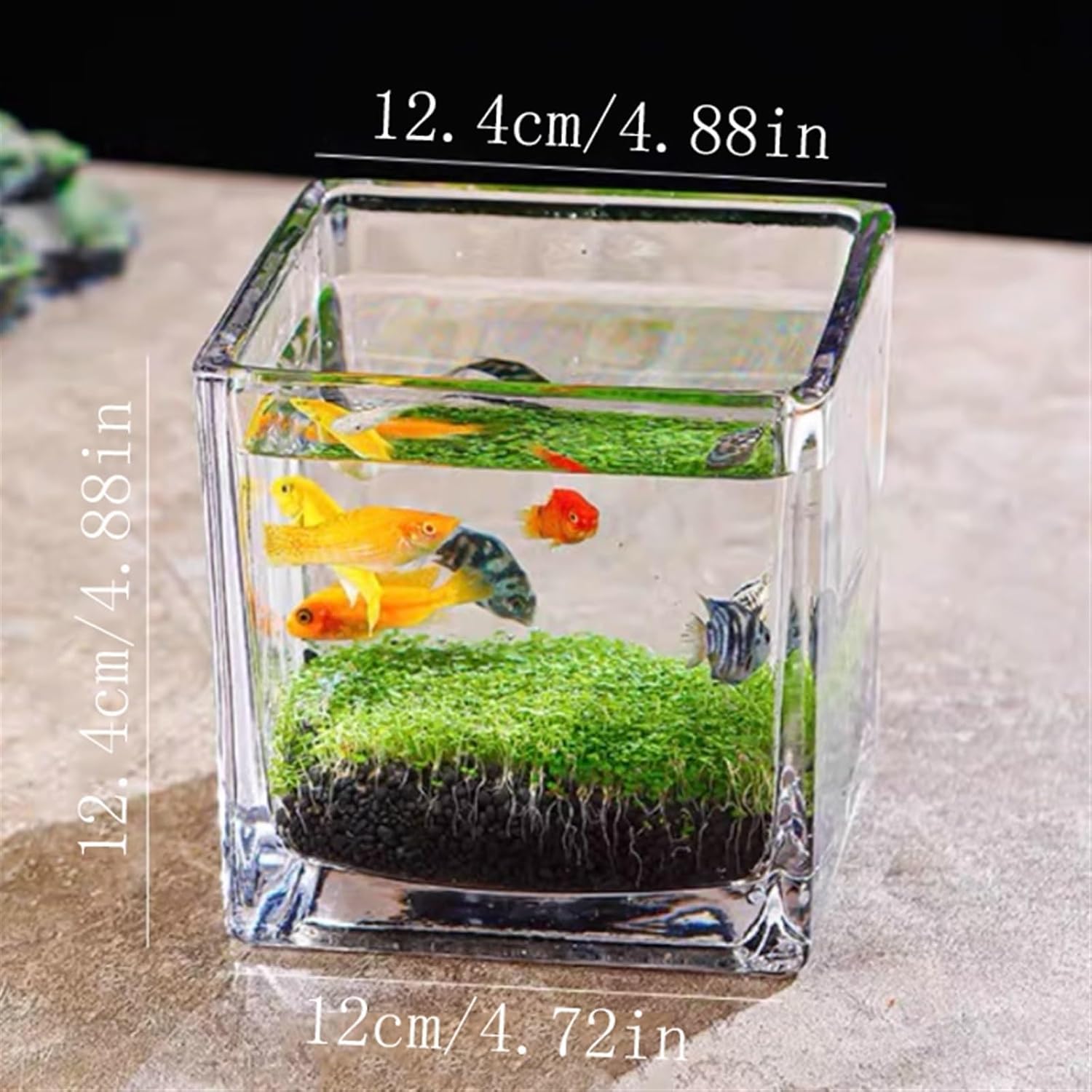 Decor Fish Tank Thickened Glass Transparent Fish Tank Water Plant Seeds Micro Landscape Ornaments Home Desktop Water Plant Mud Ecological Tank Starter(Medium)