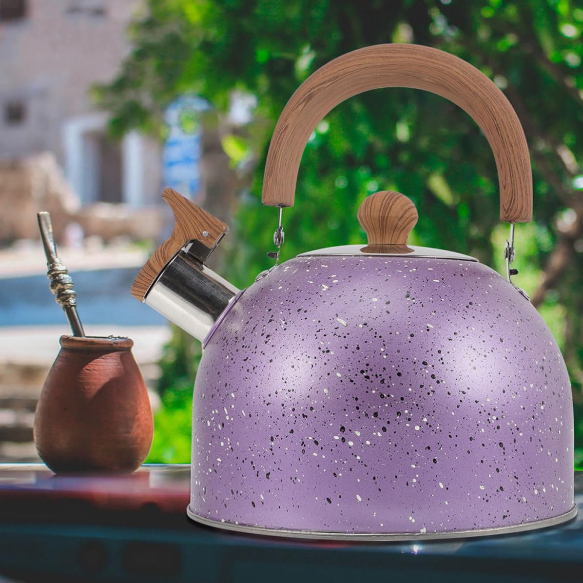Tetera Silbante de Acero Inoxidable 3 L Púrpura para Cocina
