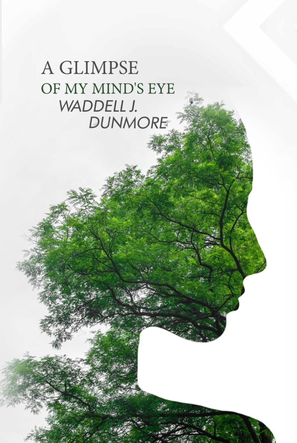 A Glimpse of My Mind's Eye