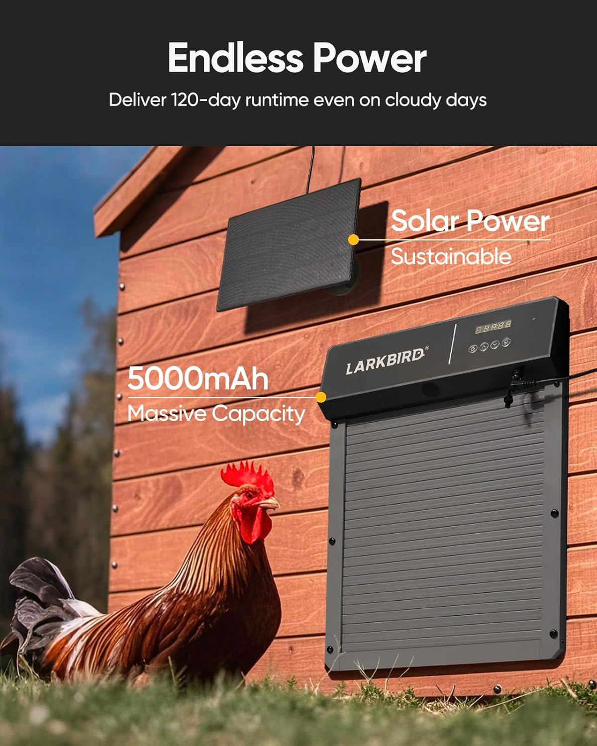 LARKBIRD Automatic Chicken Coop Door with Audio Recall Function, Solar Chicken Coop Door with Timer & Light Sensor, App Control Chicken Door with Anti-Pinch System (Gray)