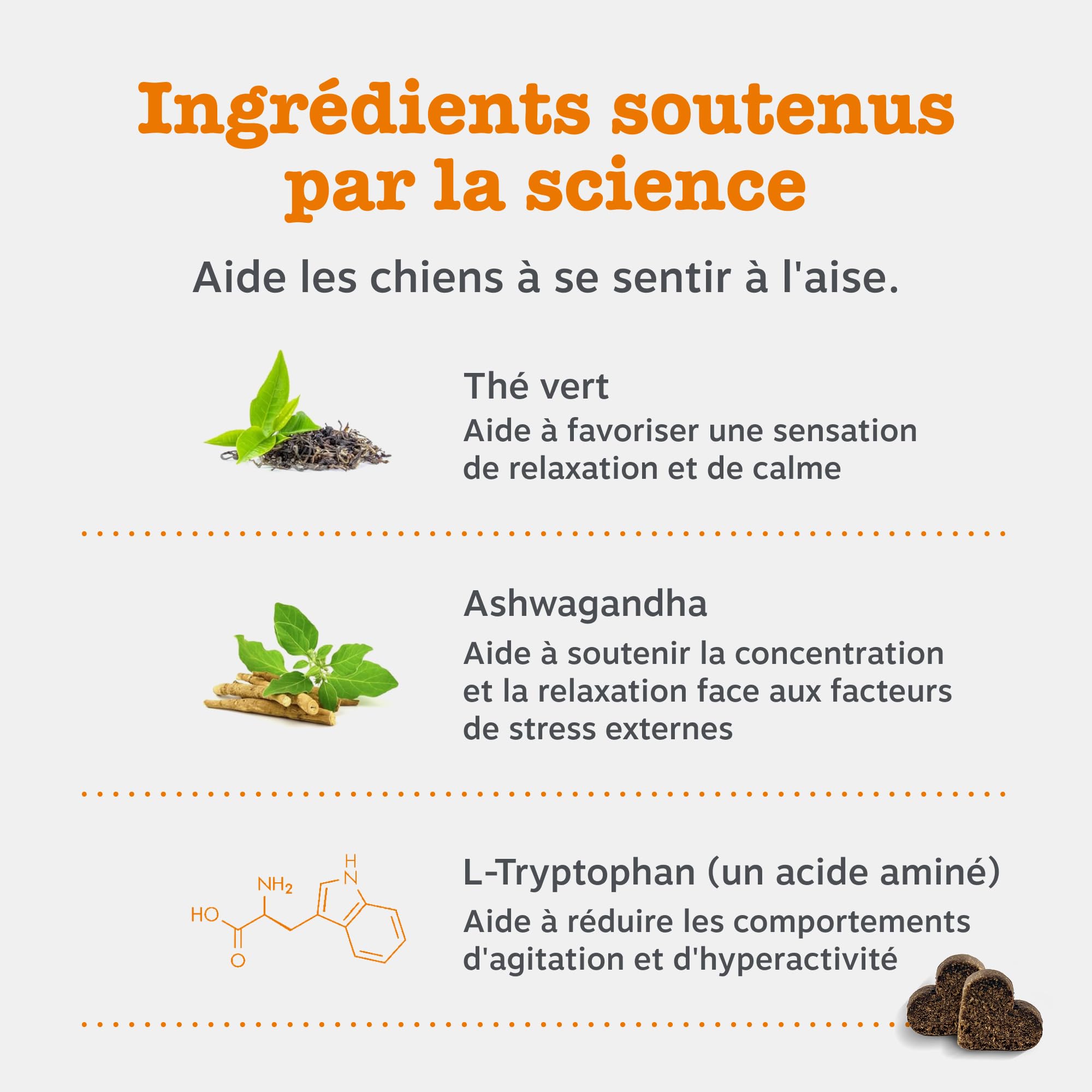 Zesty Paws Bouchées Relaxantes Chien | Calme, Détente et Bien-être | Contre Le Stress, Hyperactivité et Anxiété de Séparation | Thé Vert, Ashwagandha, L-Tryptophane | Usage Quotidien | 90 Bouchées
