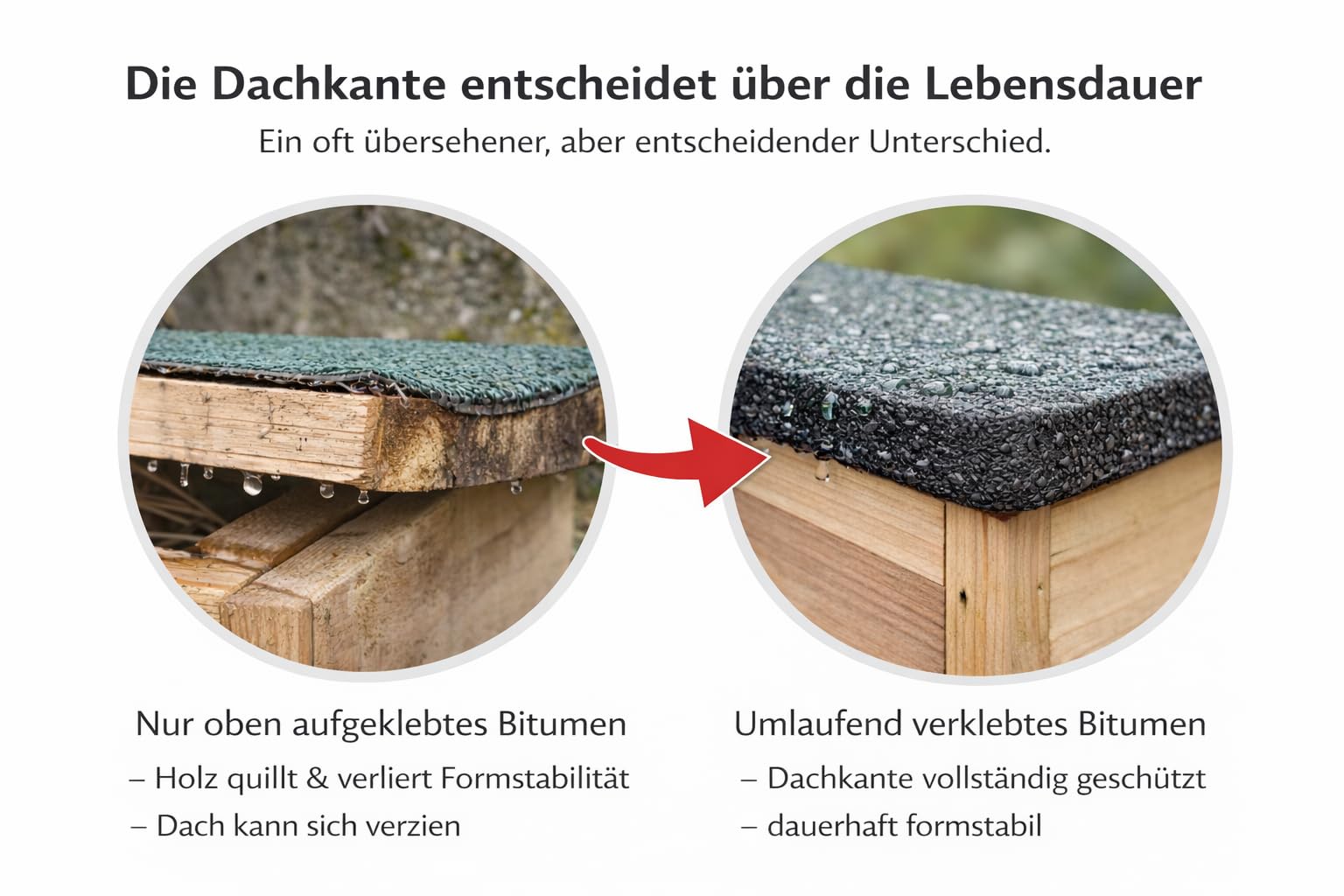 Igelhaus mit Rattenklappe 12 mm Massivholz wetterfest Igelhütte mit Schutz-Labyrinth Bitumendach isoliert für Garten Winter