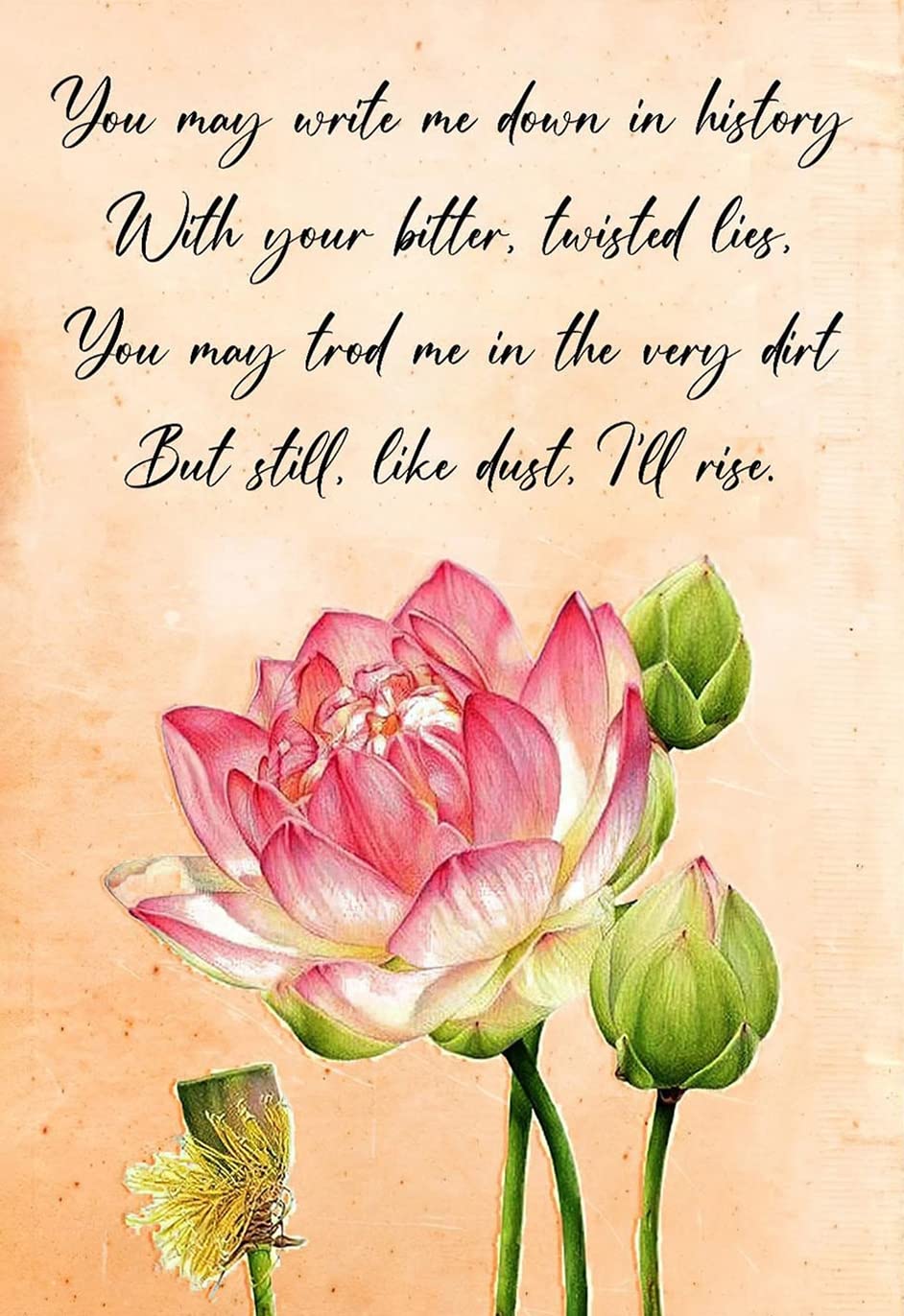 Maya Angelou Still I Rise Lotus, Black Leaders Feminism Women Rights Poster Library Cafe Living Room Kitchen Home Art Wall Decoration Plaque Gift Metal Tin Sign 8x12 Inch