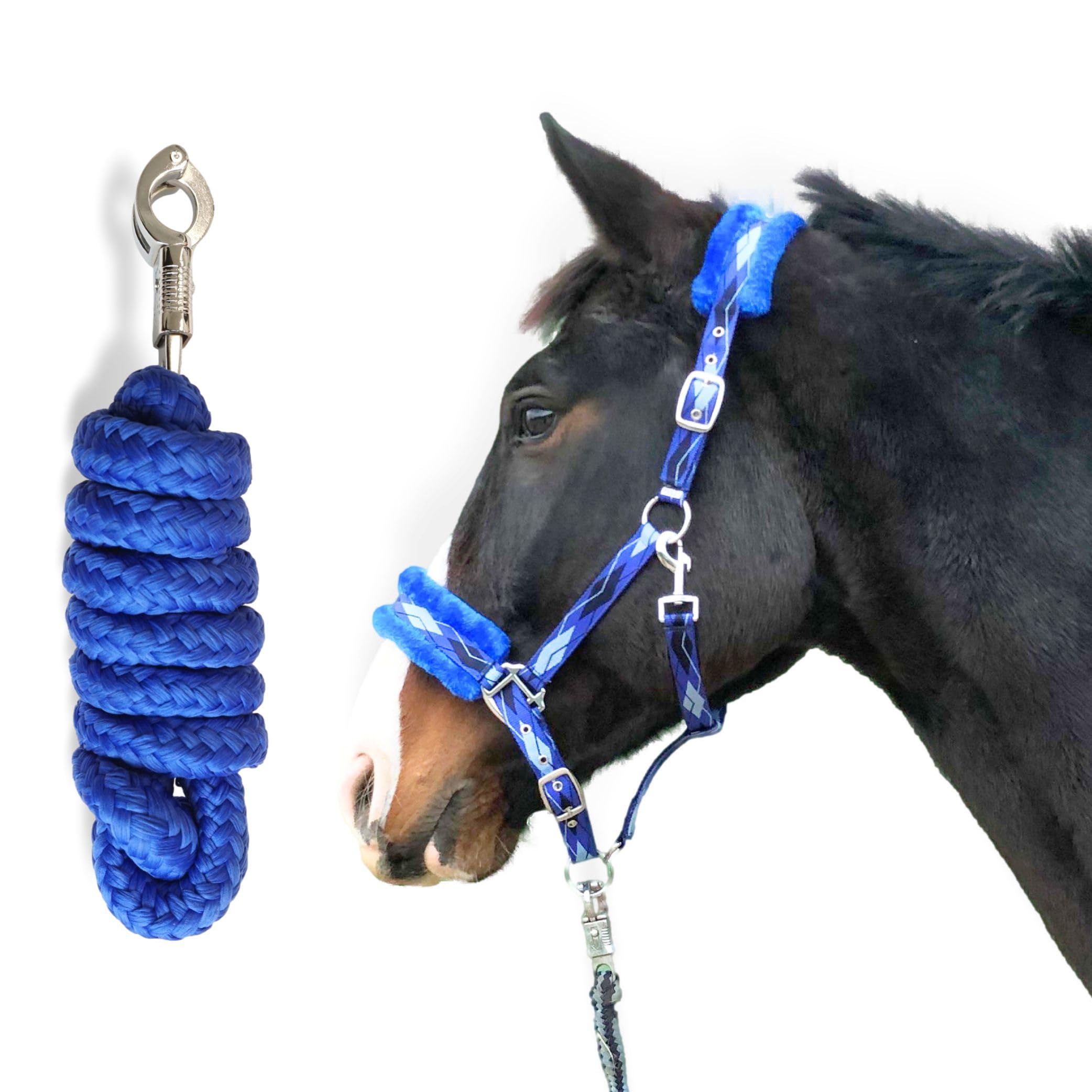 Licol Pour Cheval Start - Nylon Rembourré, Réglable (Poney, Cob, Sang Chaud), Confortable Et Robuste, Pour Écurie Et Pâturage