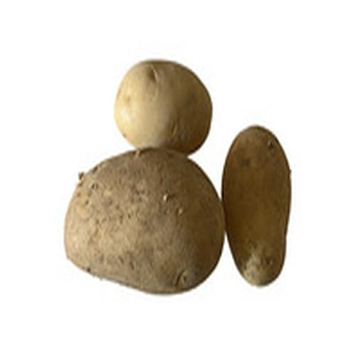 Easy Pumpkin Ginger Mousse Parfait - //medicalbooks.filipinodoctors.org