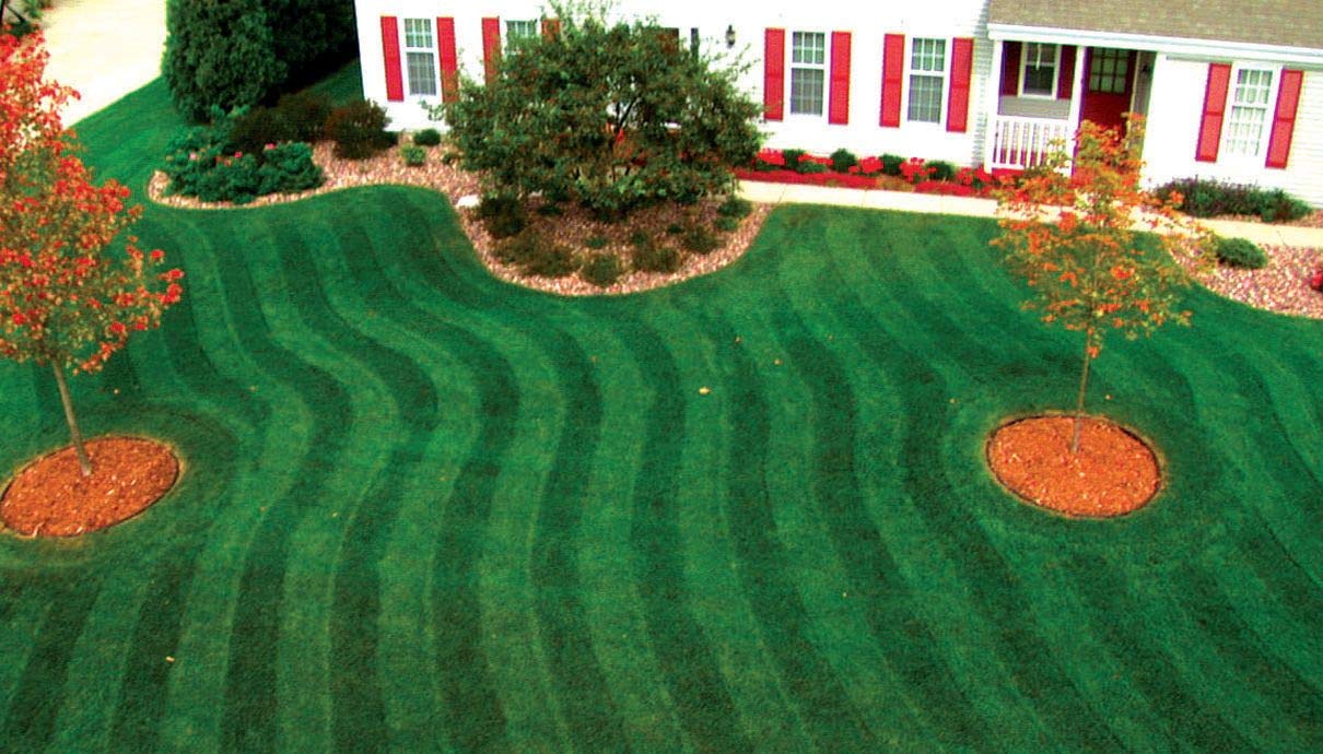 lawn stryper