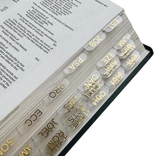Tablas bíblicas en español Tablas claras de la Biblia Pestañas bíblicas de oro pestañas de biblia Indice biblico