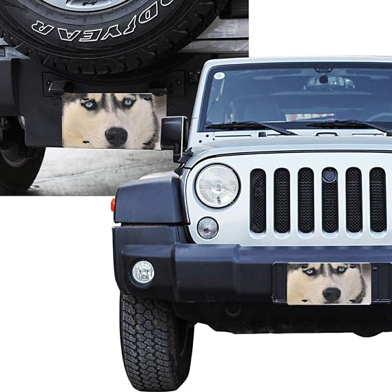 Custom License Plate Cover,Personalized Car License Frame Vanity Tag Decorative Aluminum Metal Shields 6 X 12 Inch