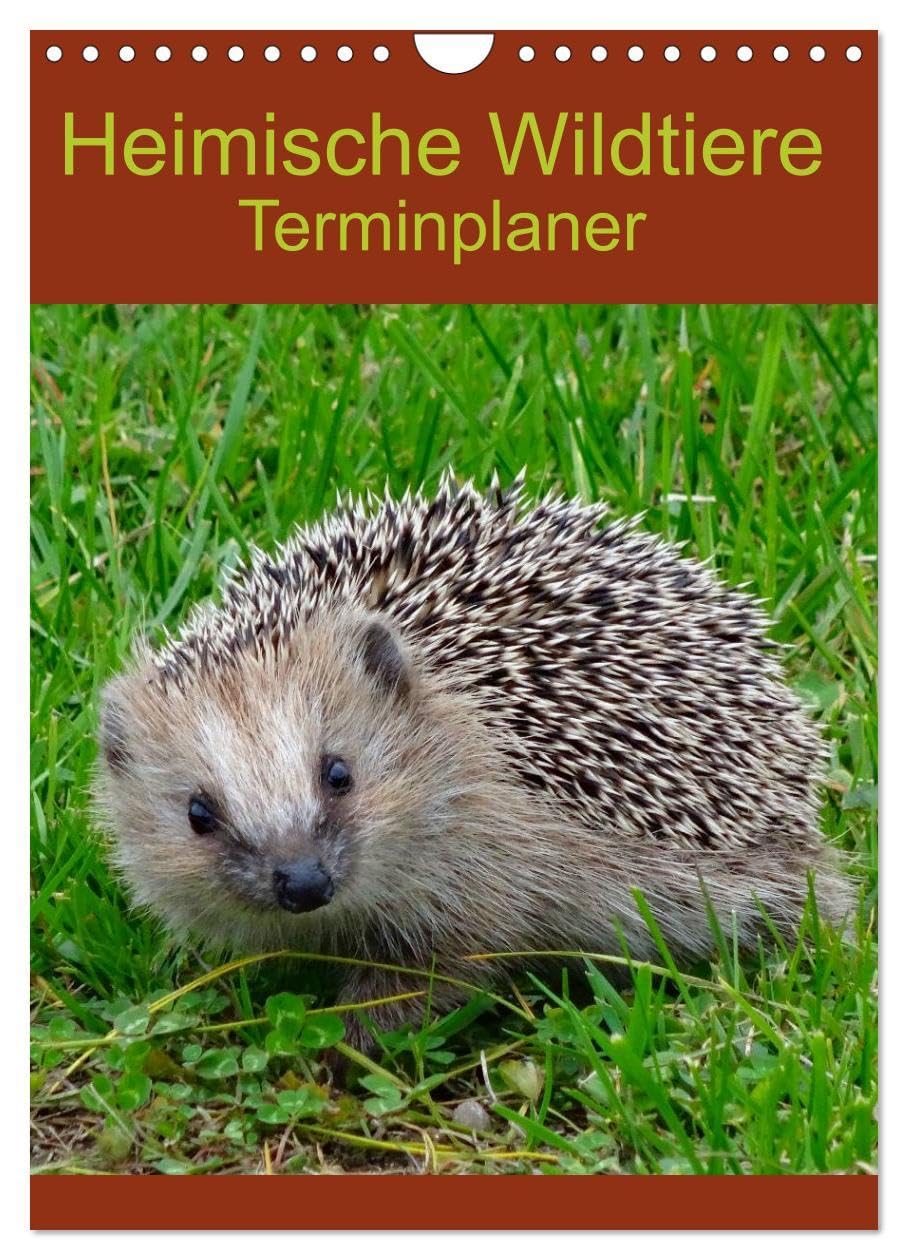 Heimische Wildtiere Terminplaner (Wandkalender 2024 DIN A4 hoch), CALVENDO Monatskalender: Wildtiere in ihrem natürlichen Lebensraum