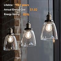 Vista 4 de TJOY 6 Pack A19 Vintage LED Edison Bulbs, Dimmable Light Bulb 50W Equivalent, 5000K Daylight, 5W E26 Standard Base, 470Lumens, CRI80+, Clear Glass
