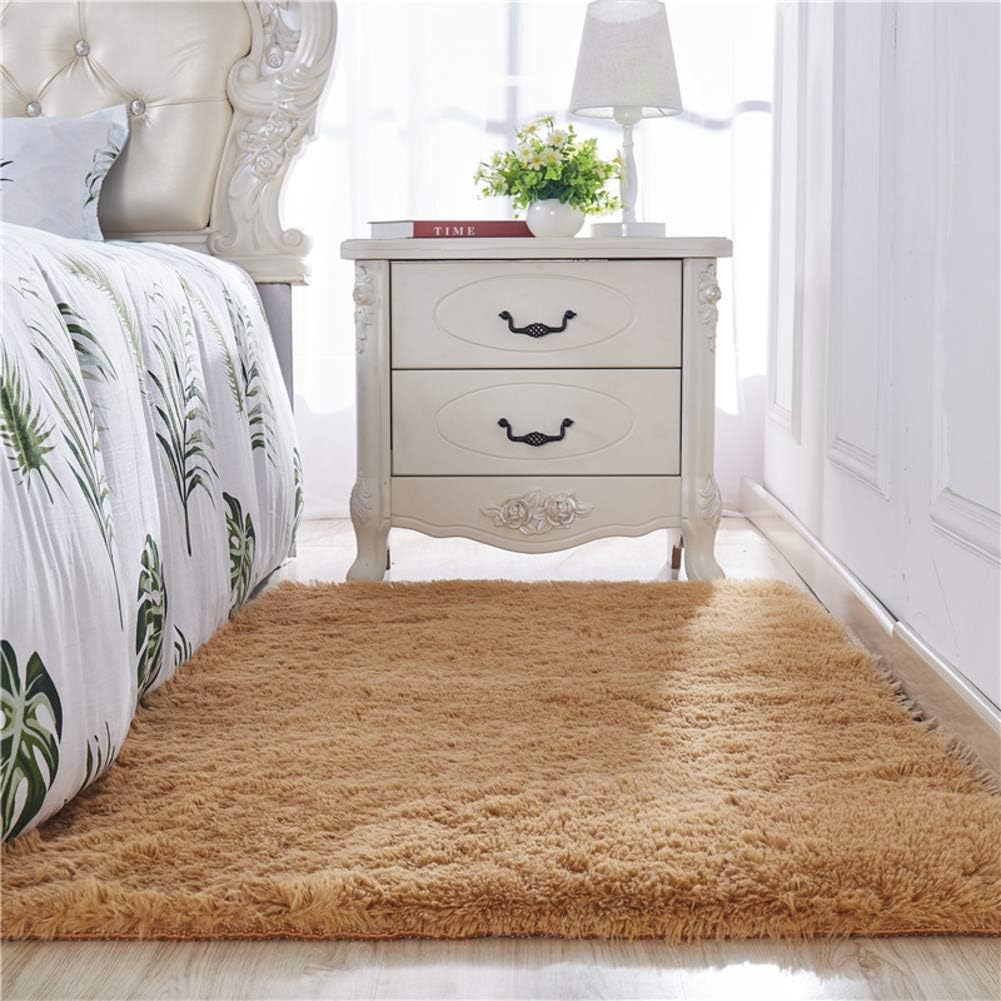 Shaggy Rug,Fluffy Area Rugs,Soft Carpet Non-slip Floor mats Living room Bedroom Floor Carpet Safe for hardwood floors-Caki 60x160cm(24x63inch)