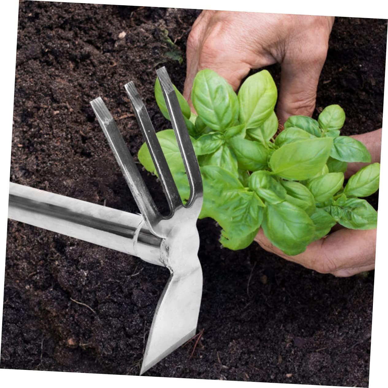herramienta de jardín extractor malas hierbas cultivate kit de cultivo melena de azada de cultivo flor pequeña azada de mano herramienta de jardinería Acero inoxidable Silver