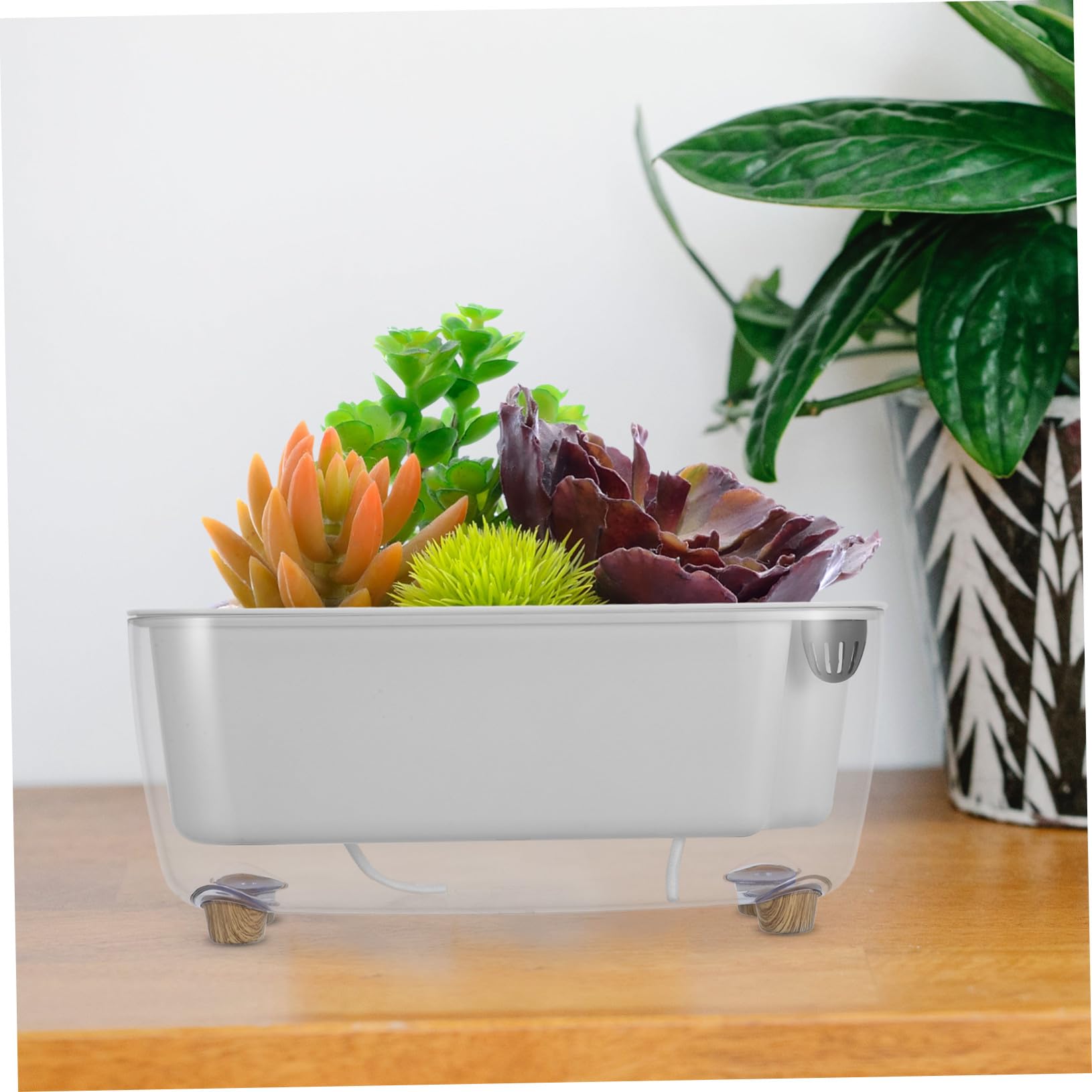 Pot à Arrosage Automatique Transparent en PP Double Couche et Design Auto-irrigant pour Plantes D'intérieur pour Décoration Maison
