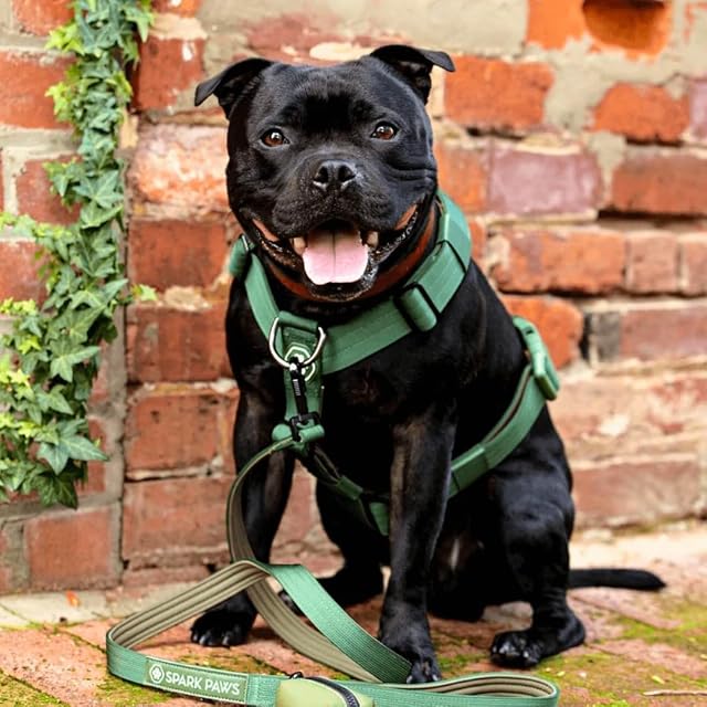 Foto 4 de 6 de Spark Paws Arnés grande sin tirones para perro, diseño halter con clip frontal