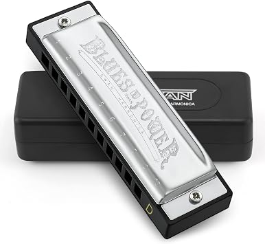 SWAN Blues Harmonica, Key of D, 10 Hole 20 Tone Diatonic Harp Mouth Organ, Stainless Steel Deluxe Harmonica for Adults, Students, Beginners, as a Gift Silver-D