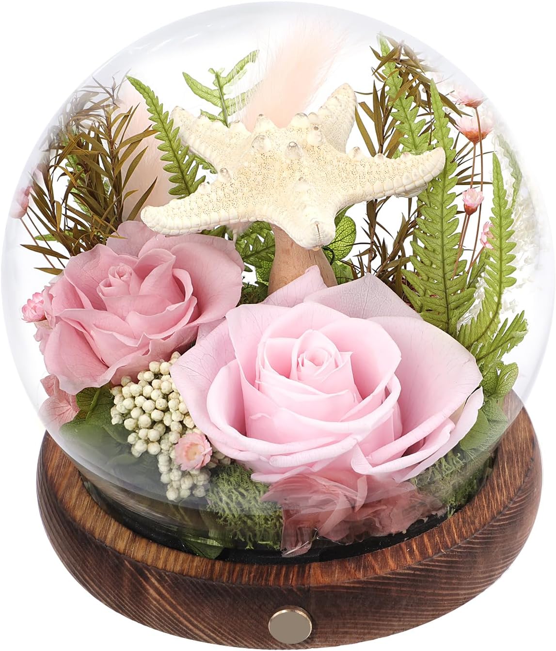 Long-Lasting Real Preserved Flowers in Glass Dome - Unique Starfish or Butterfly Eternal Roses Gift with LED Lights for Women Monther Indoor Decoration, Butterfly and Orange Green Rose