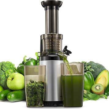 Masticating Juicer Machines, Reemix Cold Press juicer Machine Compact & Small Size, Juice Extractor, Nutrient and Vitamin Dense, BPA-Free Tritan, Easy to Clean Silver