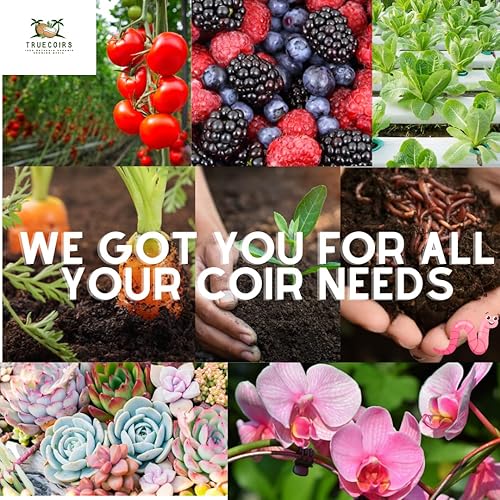 Miniatura 8 de Ladrillo natural comprimido de fibra de coco orgánica de alta calidad de 10 libras con bajo equilibrio de EC y pH  Alta expansión para tierra de