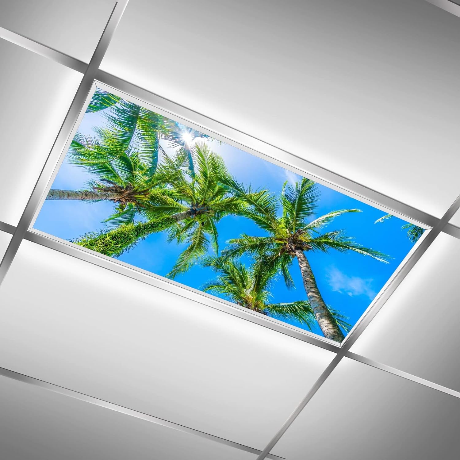 Fluorescent Light Covers for Classroom Ceiling Lights – 2x4ft Backlit Film for Fluorescent Fixtures, Easy to Install – School, Office, Sensory, Improve Focus, Eliminate Headaches Coconut tree