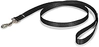 PetSafe Chew-Resistant Nylon Dog & Cat Leash 3/4" x 4' Black - Padded Grip Training Lead for Easy Walk Harness