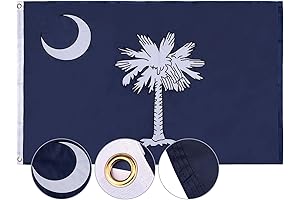 South Carolina State Flag 3x5 FT Outside