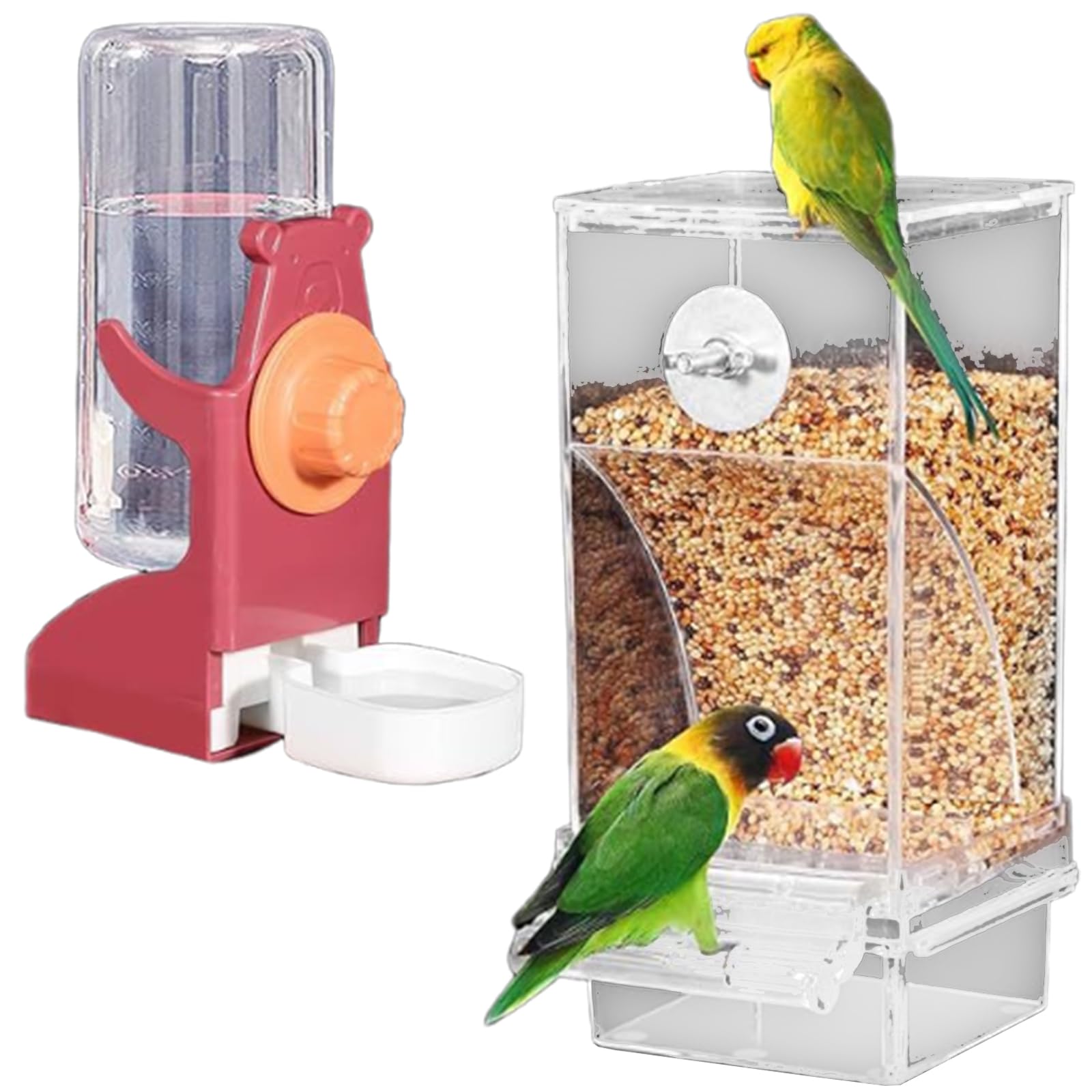 Abreuvoir oiseaux transparent et mangeoire à tiroir détachable pour tourtereaux et pinsons