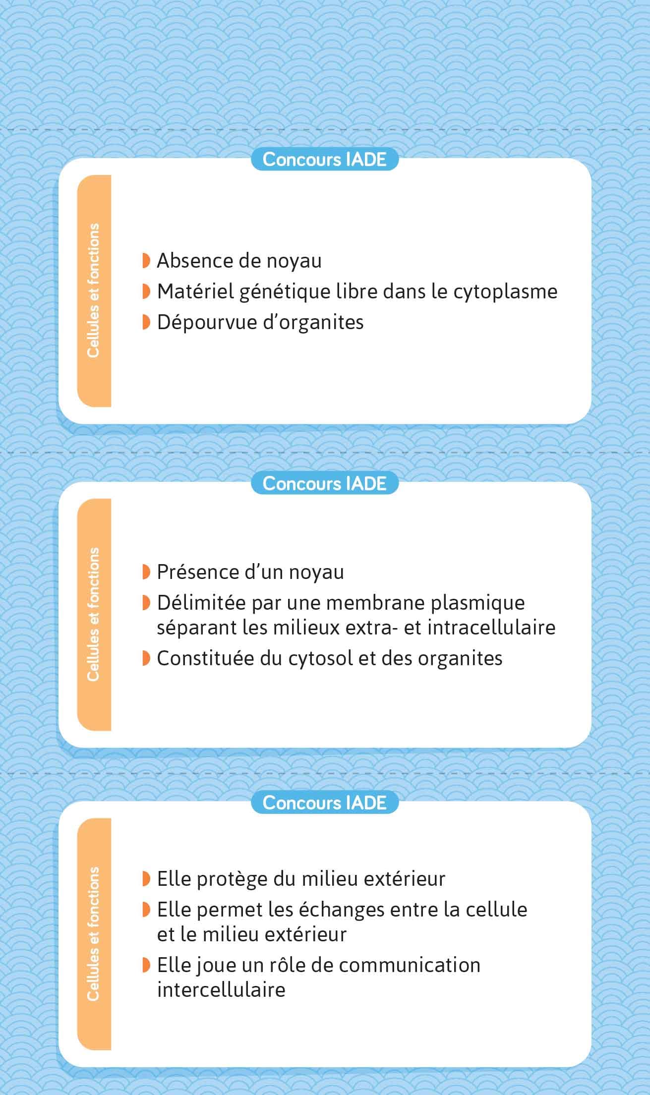 Flashcards concours IADE: Infirmier anesthésiste