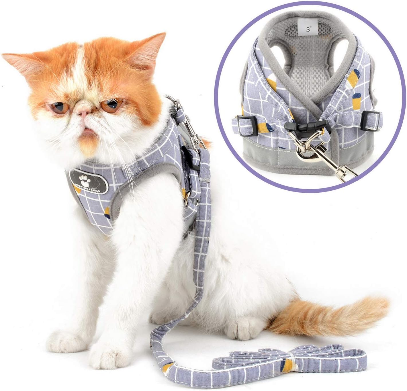 pettorina per cani per shih tzu