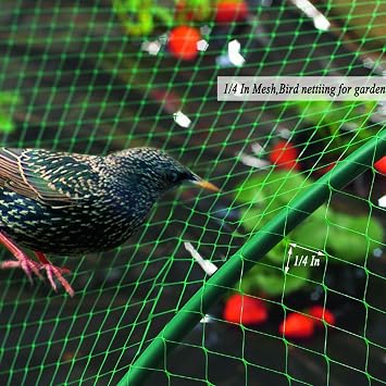 Bird Netting for Garden 6.5X50 FT, 1/4 Inch Mesh, Protect Blueberry, Strawberry, Tomatos, Vegetables. Fruit Tree Netting for Cicadas Against Deers, Squirrels, Bunnies, and Small Critters.