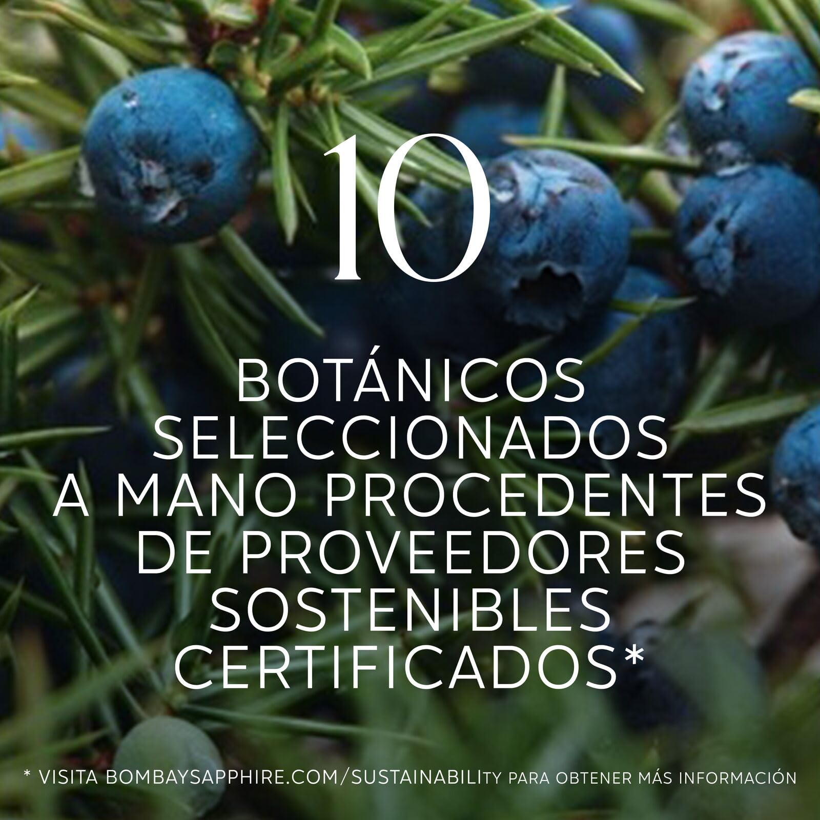 Bombay Sapphire London Dry Gin, 40% Vol., 100 cl / 1 L, bebida espirituosa 100% infusionada al vapor con 10 botánicos seleccionados a mano