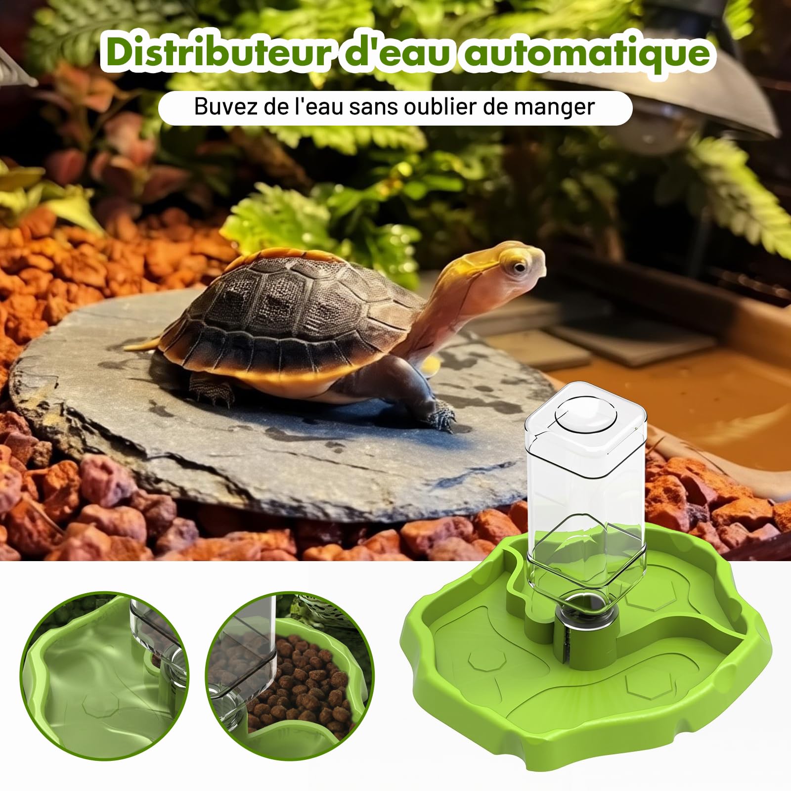 Sharplace Mangeoire pour Reptiles et Accessoires d'aquarium Conteneur Accessoire Polyvalent Mangeoire à Eau pour Reptiles Plat de Nourriture pour, Herbe Verte