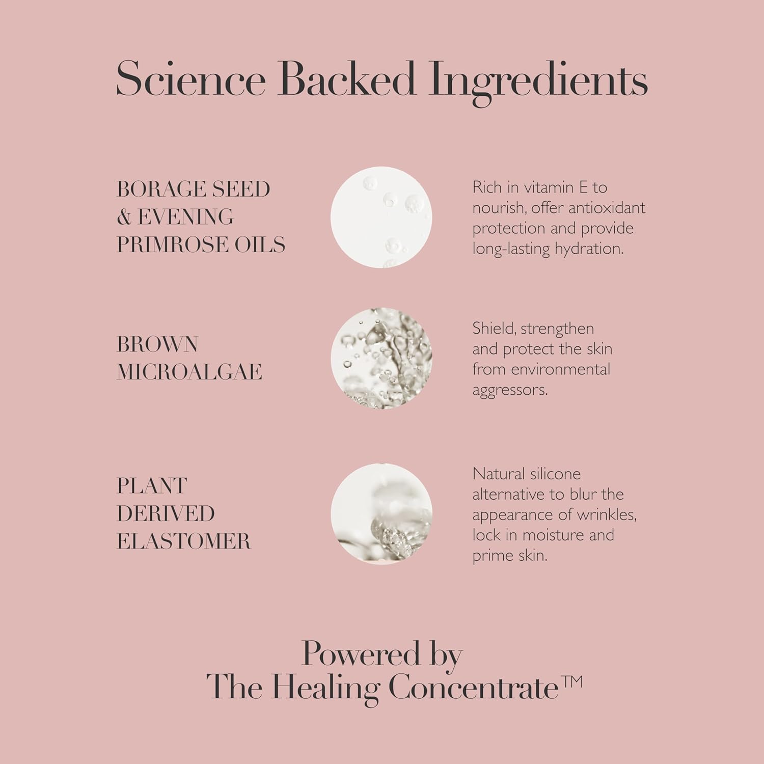 Omorovicza Queen Cream (1.0 oz), Face Moisturizer, Daily Priming Moisturizer Face Cream with Plant-Derived Elastomer, Brown Microalgae & Antioxidant Oils to Hydrate, Plump & Blur Fine Lines - Image 4