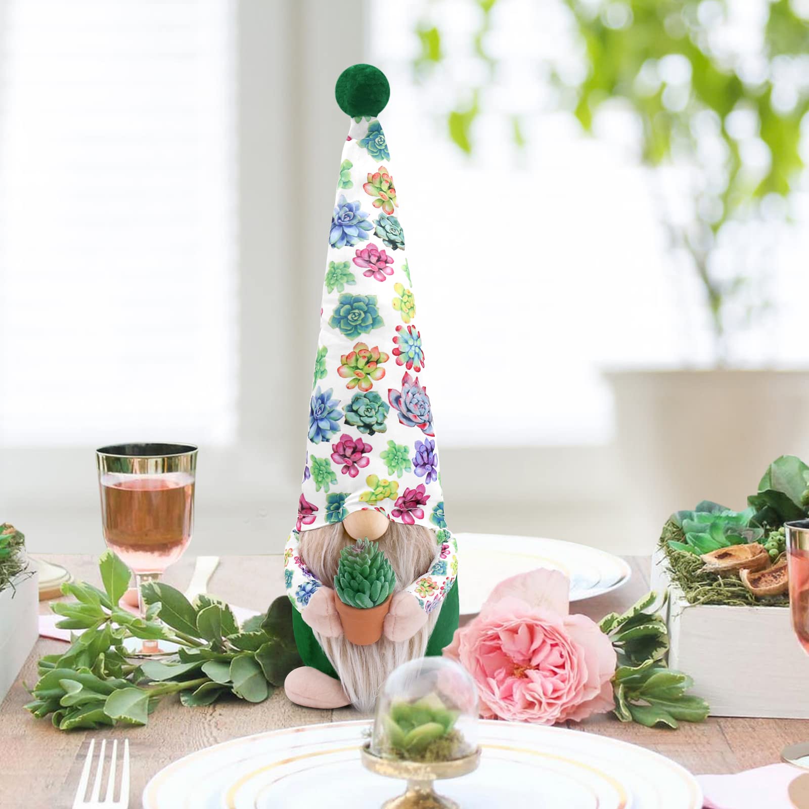 Amazon.co.jp: 多肉植物 ノーム サボテン 植物 ノーム 装飾