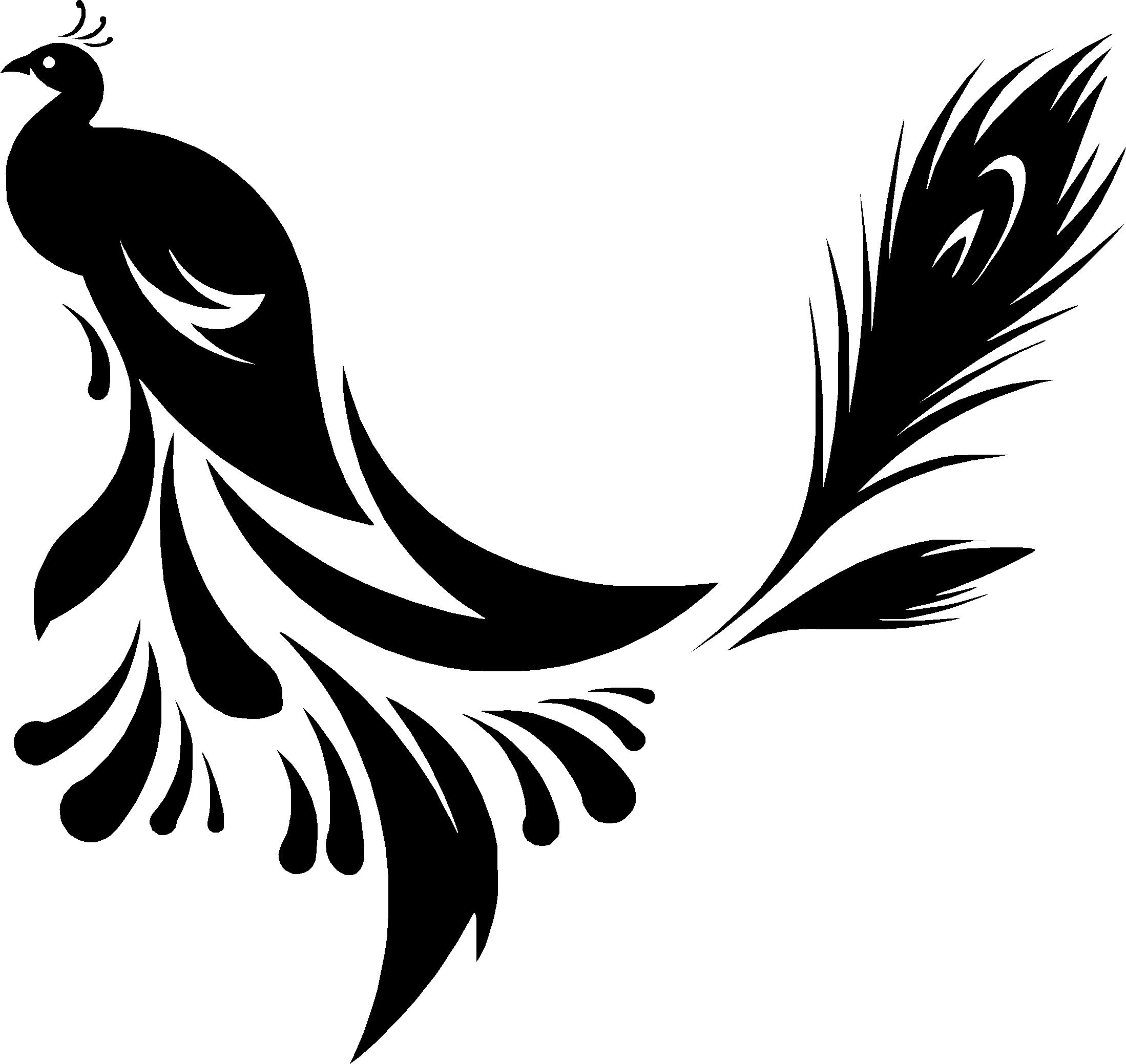 LightningSigns Peacock Wall Car Trailer Bonnet Truck Sticker Decal LSWA22903
