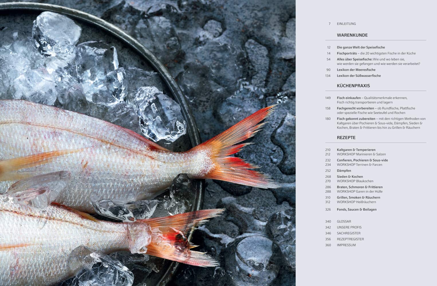 Das große Buch vom Fisch (TEUBNER Edition)