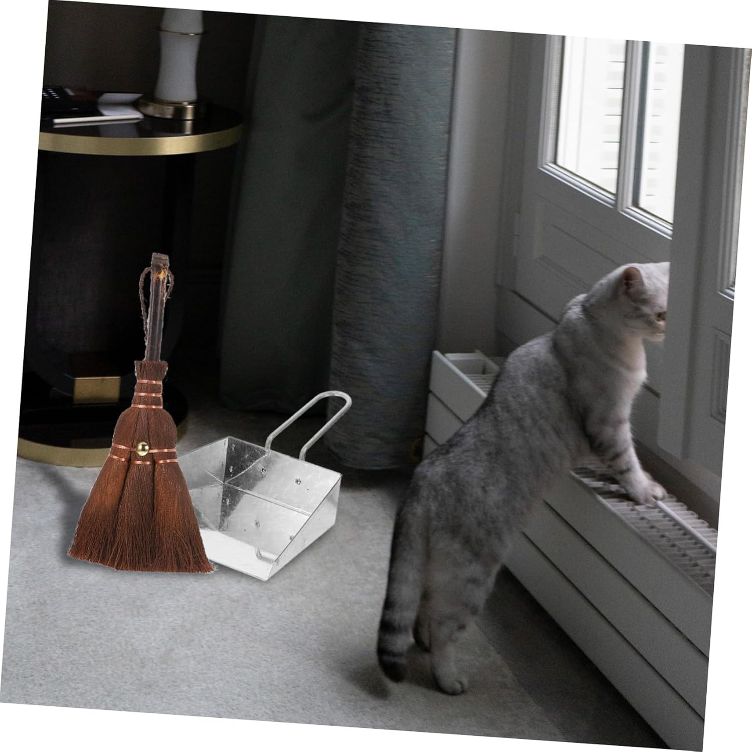 Healeved 3sets Professional Multi-Function Dustpan and Broom Convenient Pet Litter Cleanup Compact and Pet Stores