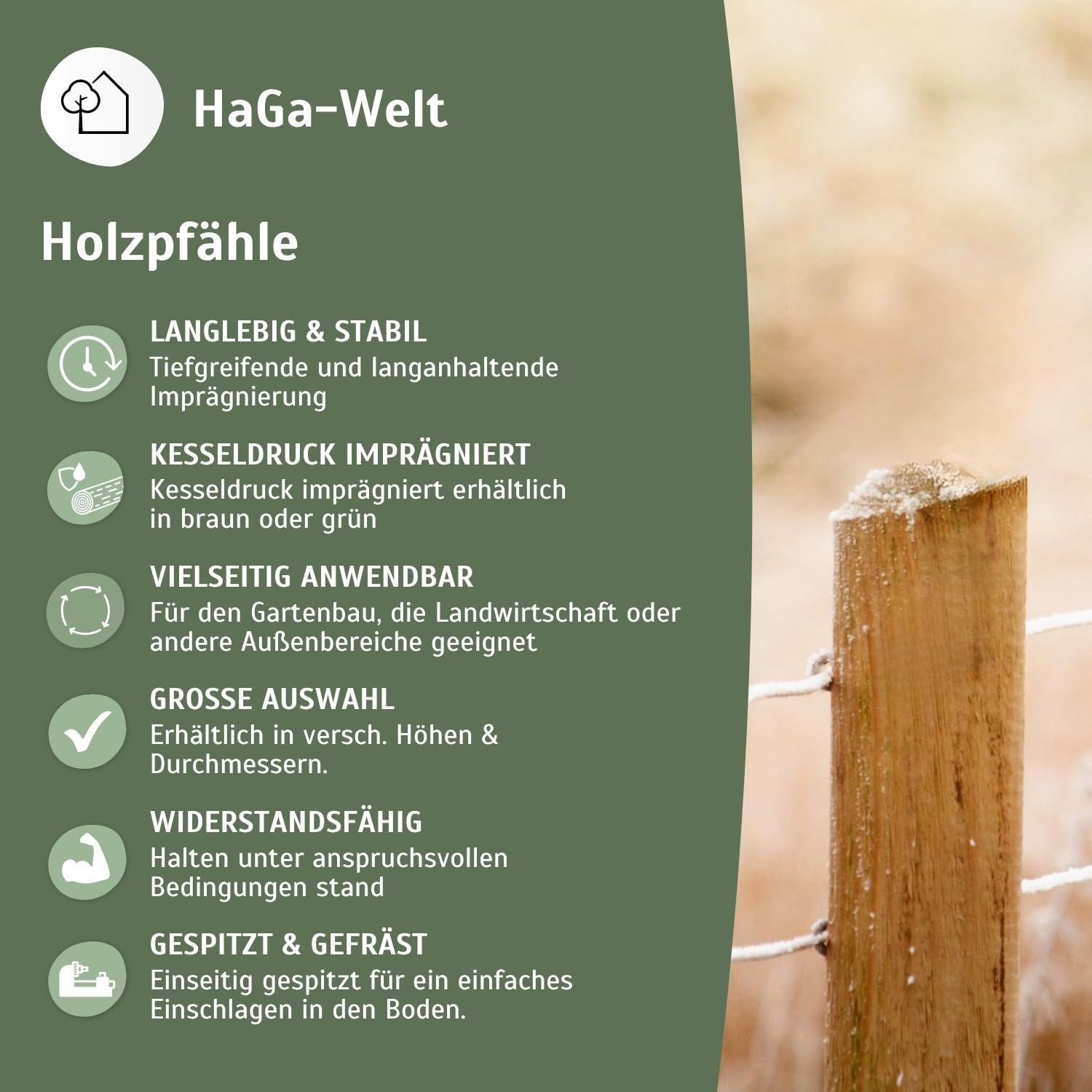 HaGa Holzpfahl - 5cmØ | 150cm Höhe | 10 STK. - Rundholz Pfahl aus Kiefer für Zaun - Weidezaunpfähle - Zaunelemente für Holzzaun, Hundezaun, Weidezaun, Gartenzaun